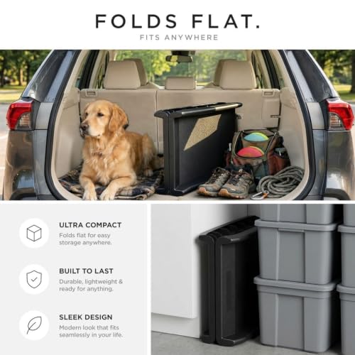 Portable Dog Ramp 62