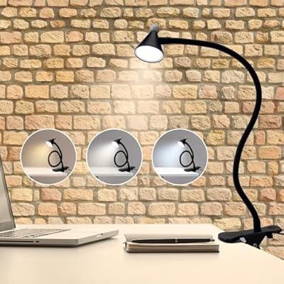 Phimuezl Adjustable Clamp-on Desk Lamp