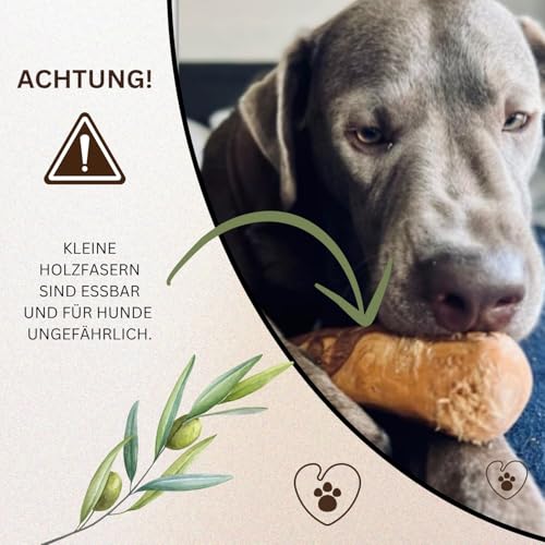 PetLove Kauholz für Hunde aus Olivenholz • Holzknochen als Hundespielzeug • Kauknochen als Zahnpflege & Kauspielzeug für Hund • Größe: S (60-99g) • Ideal für Welpen & kleine Hunde • 2er Pack