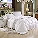 SUPER LUXURIOUS TWIN / TWIN XL Extra Long Size Goose Down Alternative Comforter, 600 Thread Count 100% Egyptian Cotton Cover, 750 Fill Power, 70 Oz Fill Weight, Solid White Color