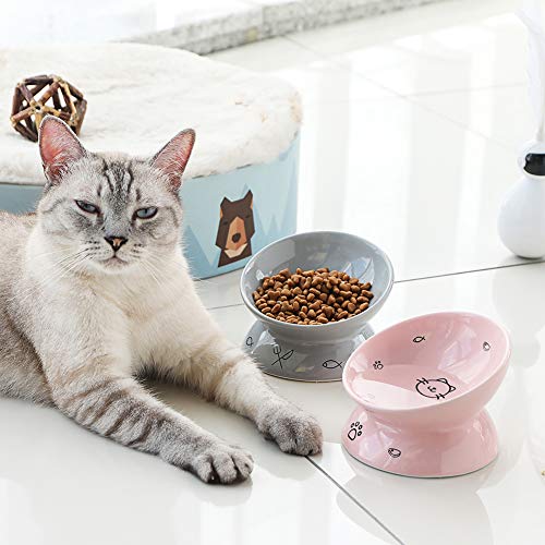 Sweejar Ceramic Raised Cat Bowls, Slanted Cat Dish Food Or Water Bowls, Elevated Porcelain Pet Feeder Bowl Protect Cat's Spine, Stress Free, Backflow Prevention (Pink) #TOP3