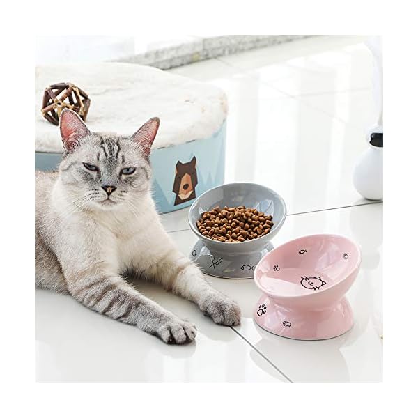 Sweejar Ceramic Raised Cat Bowls, Slanted Cat Dish Food or Water Bowls, Elevated Porcelain Pet Feeder Bowl Protect Cat’s Spine, Stress Free, Backflow Prevention (Gray) Sweejar Ceramic Raised Cat Bowls, Slanted Cat Dish Food or Water Bowls, Elevated Porcelain Pet Feeder Bowl Protect Cat’s Spine, Stress Free, Backflow Prevention (Gray)