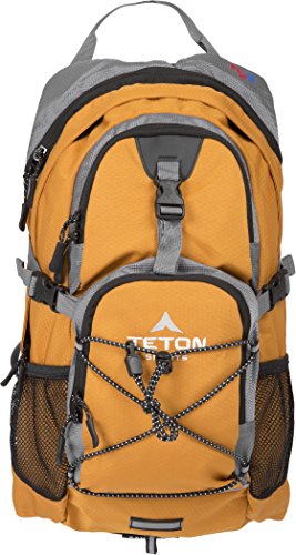 TETON Sports Oasis 18L Hydration Pack with Free 2-Liter water bladder; The perfect backpack for Hiking, Running, Cycling, or Commuting
