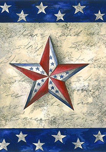 Toland Home Garden Estrellas en Star 12,5 x 45,7 cm Decorativo USA-Produced jardín Bandera