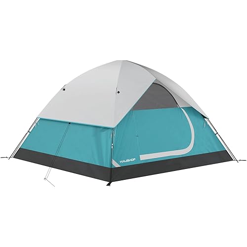 2/4-Person Family Dome Tent with Removable Rain-Fly, Easy Set Up Portable Camping Tent for Backpacking Hiking Backyard Outdoor, Green/Blue/2-person/4-person