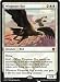 Magic: the Gathering - Wingmate Roc (031/269) - Khans of Tarkir