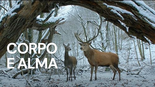 Corpo e Alma
