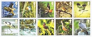 Bird Stamps - 10 x 1st Class Royal Mail mint stamps for postage. 2007 Birds Stamps featuring White-Tailed Eagle, Red Kite, Bittern, Peregrine etc