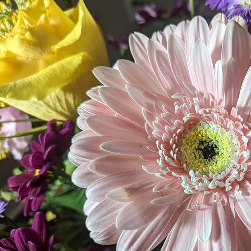 Breaking Chains: Transforming Mindsets from Anxiety to Abundance