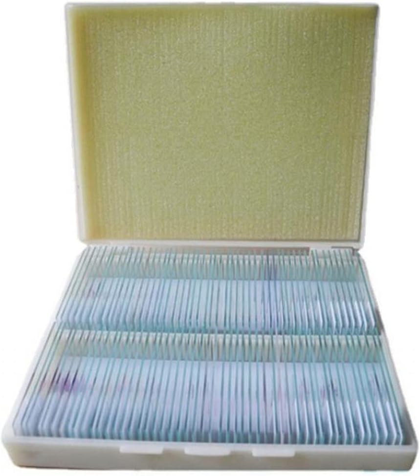 実験用顕微鏡スライド 顕微鏡の生物学的区画標本は100種類のスライドをスライドさせます 顕微鏡部品