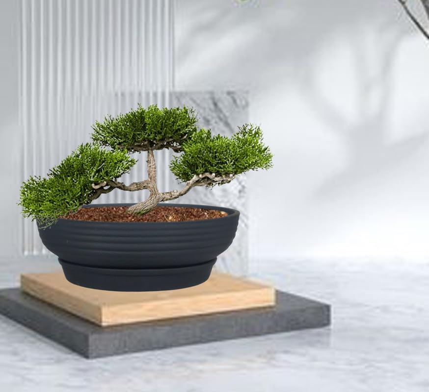 Lasaki Camry Medium Black with Plate R6 Black Ceramic Pots for Indoor Plant,Bonsai,Planters,gamla,Outdoor,Home,Garden,Succulent(Camry Medium-H-7.5cmXD-23cm,Plate-H-2.5XD-16)(Plants not Included) (B0CYM1JZ8X) Amazon Price History, Amazon Price Tracker