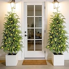 Pre-Lit Artificial Norfolk Pine Tree