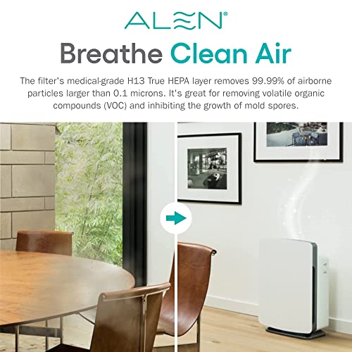 Alen BF35 Ersatz-Luftfilter für BreatheSmart Classic, Allergien, Staub und Schmutz, Hepa-Pure, Dust