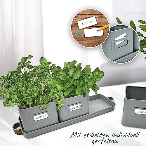 Kräutertopf Green Thumbz 3 Stück für Kräuteranbau