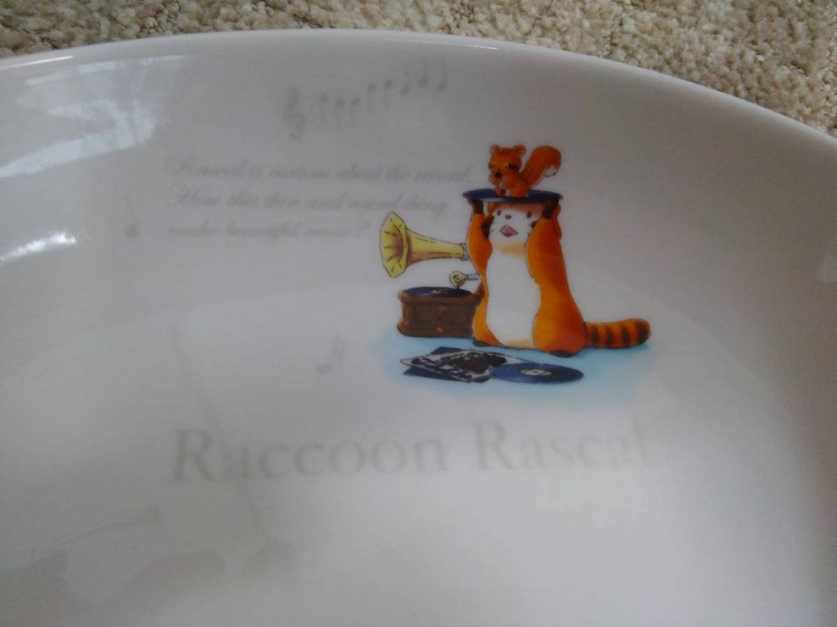 Amazon.co.jp: Raccoon Rascal ラクーン ラスカル オーバル皿 2枚 