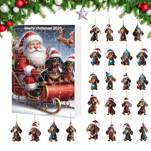 yuchdzexu Calendrier de compte à rebours de Noël, 24 jours, motif teckel, pendentif mignon 2D | pour entrée de décembre, cheminée, porte, fenêtre, arbres, salon, chambres, adolescents et