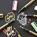 Metallic Markers Paint Pens-Medium Tip Paint Pens Metal Art Permanent Marker Set for Card Making, Painting Rocks, Scrapbooking, Black Paper, Glass,Wood, Ceramics,DIY Craft Kids,10 Colors