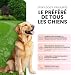 Imagen de ZOOPIZ Agility Kit para perros con postes y obstáculo ajustable