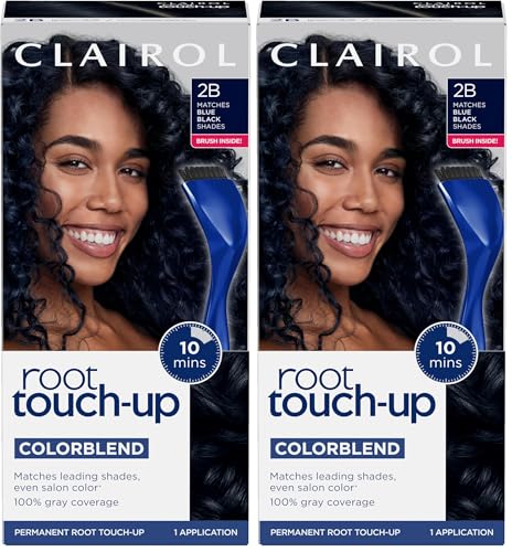 Clairol Root Touch-Up by Nice'n Easy Permanent Hair Dye, 2B Blue Black Hair Color, Pack of 1 (Pack...