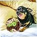 Kisangel Pet Dog Sniff Toy Interactive Chewing Ball for Dogs Slow Feeder with Durable Materials Enhances Smell and Reduces Stress for Puppies