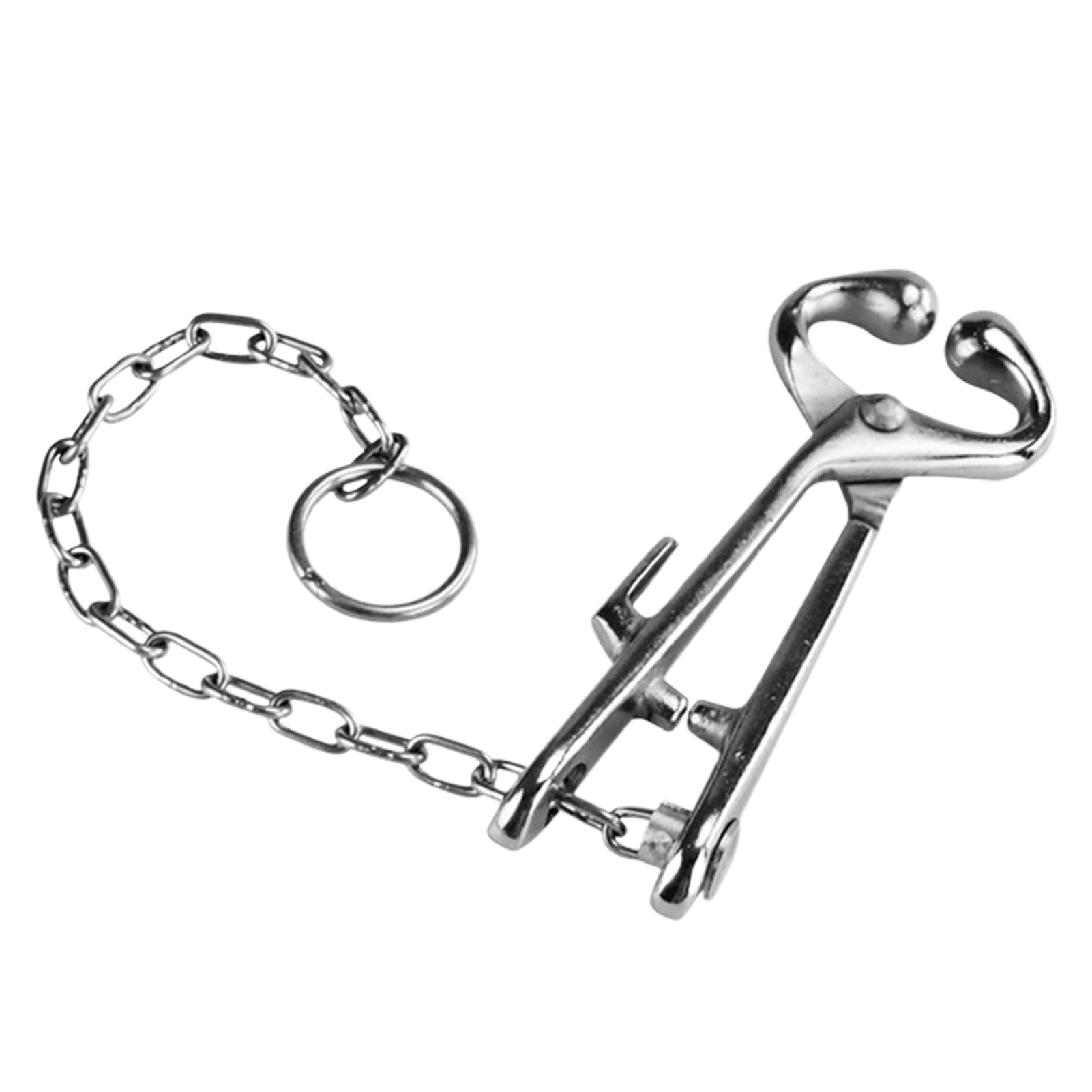 Pince Nez de Bœuf en Acier Inoxydable - Acier Inoxydable - Pince Bovine Universelle,Accessoire Jardin & Équipement Ferme pour Débutants en Élevage