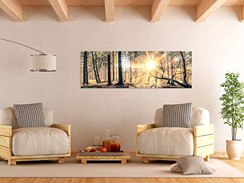 artgeist Acoustic Canvas Wall Art Forest Landscape 47x16 in - 1pcs Picture with Acoustic Foam Sound Print Artwork Room Acoustics Soundproofing - Forest Nature Trees Sunlight c-C-0018-b-d