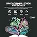 Hagoromo Fulltouch Color Chalk 1 Box [12 Pcs/White]