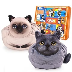 Siamese and blue cat