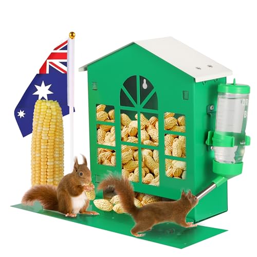 squirrel feeders