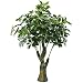 GTidea 3.3 Feet Artificial Fortune Tree Silk Plants Real Touch Soft Lush Leaves Home Office Arrangements Indoor Outside Greenery Decor