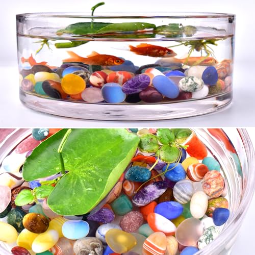 Image of Ocean Jasper Healing Crystal Stone Set - 24 Pieces, 0.6 inch Natural & Polished Stones for Healing, Meditation, Reiki, Chakra, Crafting & Decoration
