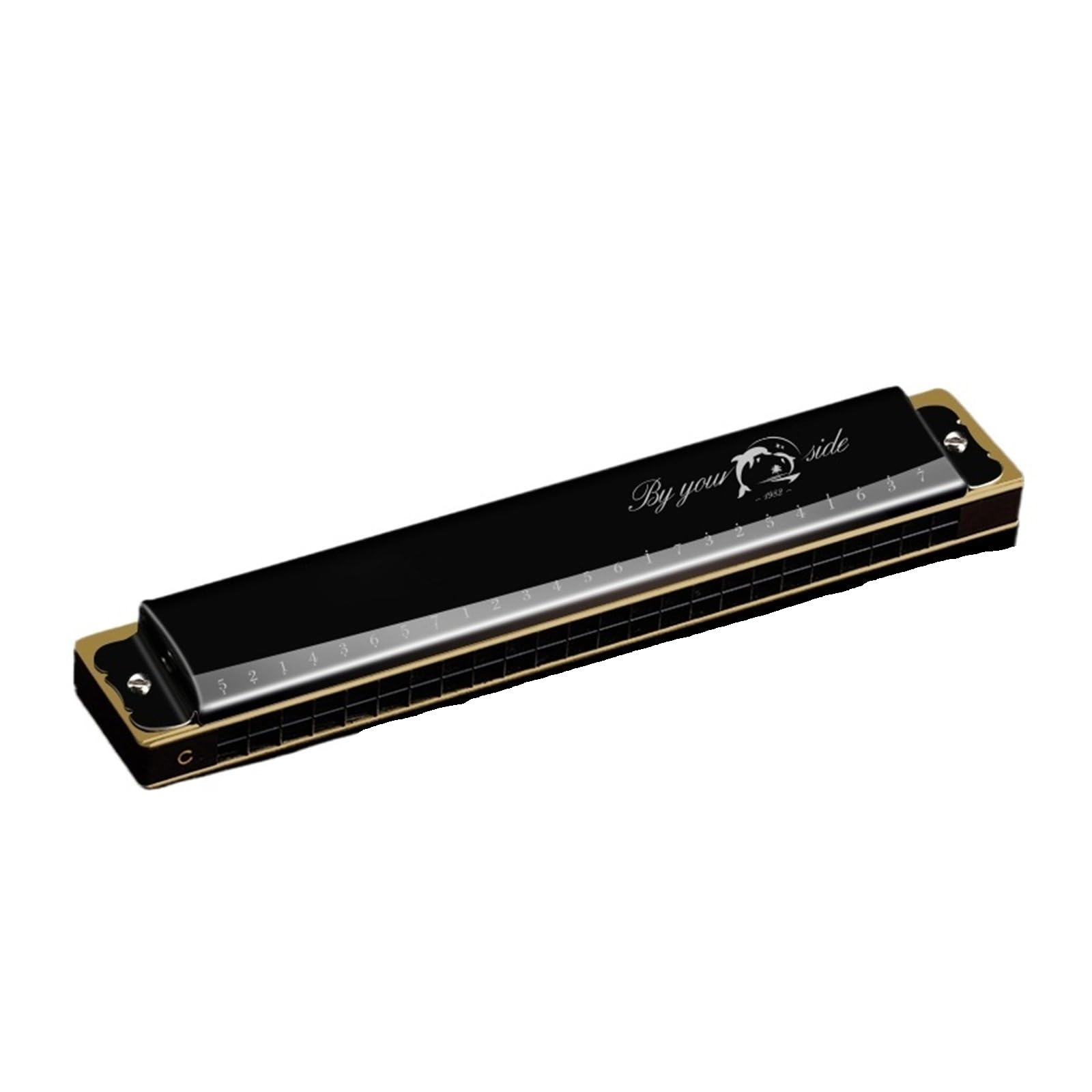 Mundharmonika Mundharmonika für Anfänger 24 Löcher polyphone C-Tonart(Black)