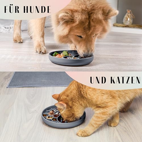 ne&no® Anti Schling Napf für Hunde und Katzen I Slow Feeder I Leckmatte Hund mit großem Saugnapf I Schleckmatte Katze für Nassfutter und Trockenfutter (Grey Blue)