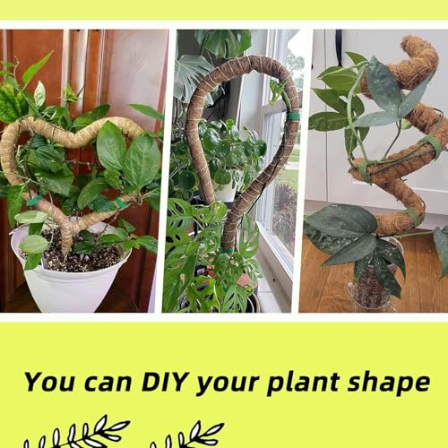 Image of Garden Art 90cm Tall Bendable Moss Stick /Coir Pole for Plants Monstera, Coco Coir Moss Poles for Climbing Plants | Plant Support Extension to Grow Upwards GABCP-90 (90 cm Pack of 1)