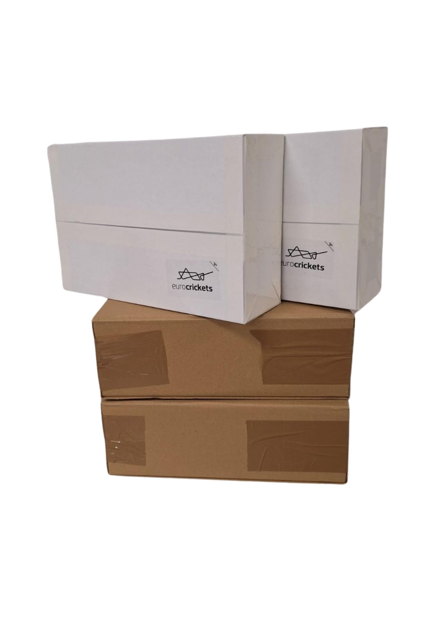Lebende Heimchen Größe Nr. 7 (19–25 mm) Adult | Mega Pack – 1000 STK |Futterinsekten für Reptilien und Vögel