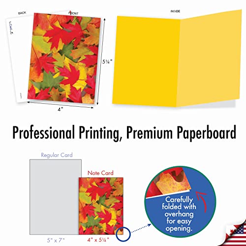 Image of The Best Card Company - 10 Beautiful Note Cards Blank (4 x 5.12 Inch) - Fall and Autumn Season, Boxed Notecard Assortment - Leaf a Message M2009