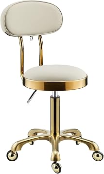Modern 360  Swivel Chair Beauty Barber Shop Salon with Backrest and PU Pads, Height Adjustable 44-59 cm, White Interesting