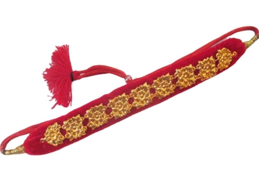 Traditional Kumauni Necklace Set, Handcrafted Jewelry from Uttarakhand, Velvet Choker (B0D3C9G8XN) Amazon Price History, Amazon Price Tracker