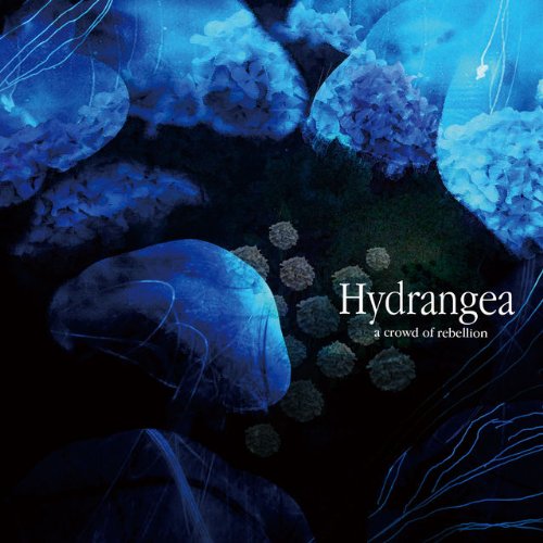 a crowd of rebellion CDセット+おまけ Amazon.co.jp: Zygomycota: ミュージック