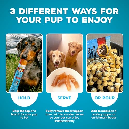 Image of Brutus Brothcicles Frozen Dog Treats - Turkey Flavor Dog Popsicle Snack, Hydrating Frozen Enrichment Treat with Superfoods,12 Fl Oz Pack of 1 (2 oz per Stick)