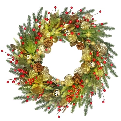 DR.DUDU Christmas Wreath Lights, 22" Battery Operated