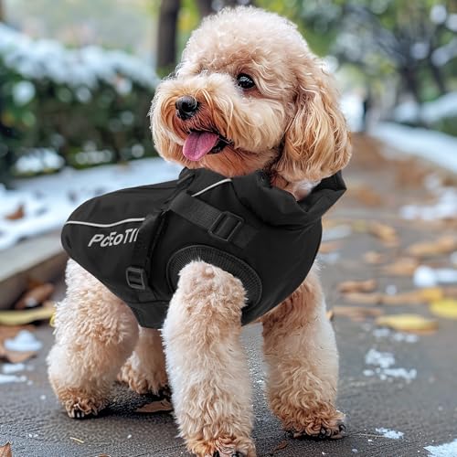 PcEoTllar Wasserdichter Hundemantel für kleine Hunde, warme reflektierende Jacke mit Geschirr für den Winter, Ski-Kostüm, Baumwolle, Hundepullover