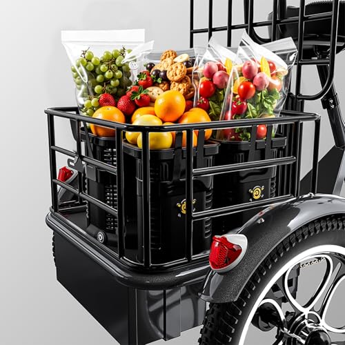 Elektrische driewieler, elektrisch voertuig met drie wielen, elektrische fiets voor goederentransport, geïntegreerde fiets van 16 x 2,3 inch, lithium-accu 48 V 22 Ah, weerstand 120 - 150 km - Afbeelding 6