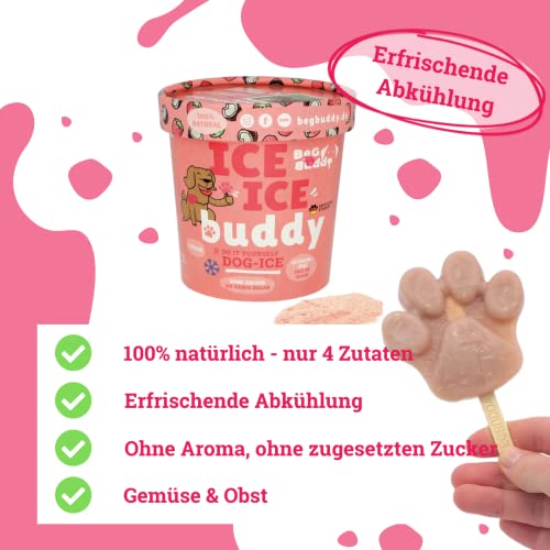 BeG Buddy EIS für Hunde [ohne Zuckerzusatz] als Snack, Hundeeis Selbermachen, Abkühlung Hund, Dog Ice [100% natürlich], Hundeleckerli mit gesunder Erdbeere & Kokos
