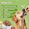 VUN Dog Urine Neutralizer for Lawn – Green Grass Dog Chews to Prevent Yellow Spots & Lawn Burn – Grass Saver Soft Chews with DL-Methionine,Cranberry&Probiotics-100 Soft Chews