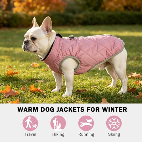Image of SCENEREAL Winter Dog Vest Coat with Harness Built in