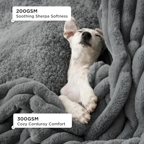 BEDSURE wasserdichte Hundedecke - 76 * 102 cm Hundedecke waschbar für mittelgroße Hunde, Haustier Decke flauschig und weich, Schutzdecke Hundesofa, Decke für Hunde, Grau