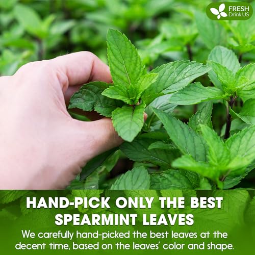 Image of FreshDrinkUS, Premium Spearmint Leaf Powder 8oz - Pure Natural Mint Powder for Tea, Smoothies, Cooking, and Baking - Resealable Pouch