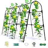 Laodier Cucumber Trellis for Raised Bed, U-Shape Garden Arch Metal Support for Climbing Plants, Metal Arch...