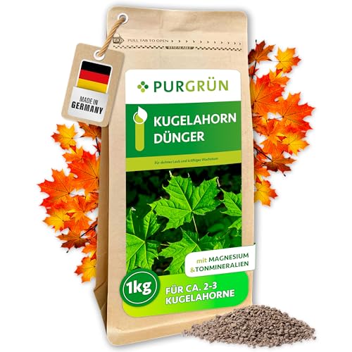 Purgrün® Kugelahorn-Dünger 1 kg – Organisch-mineralische...